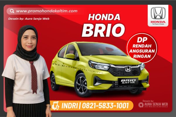 New Brio
